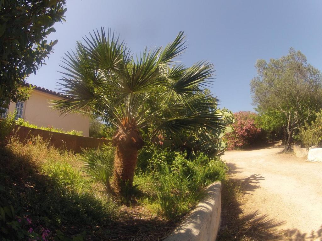 Residence La Beloutiere Porto-Vecchio  Eksteriør billede